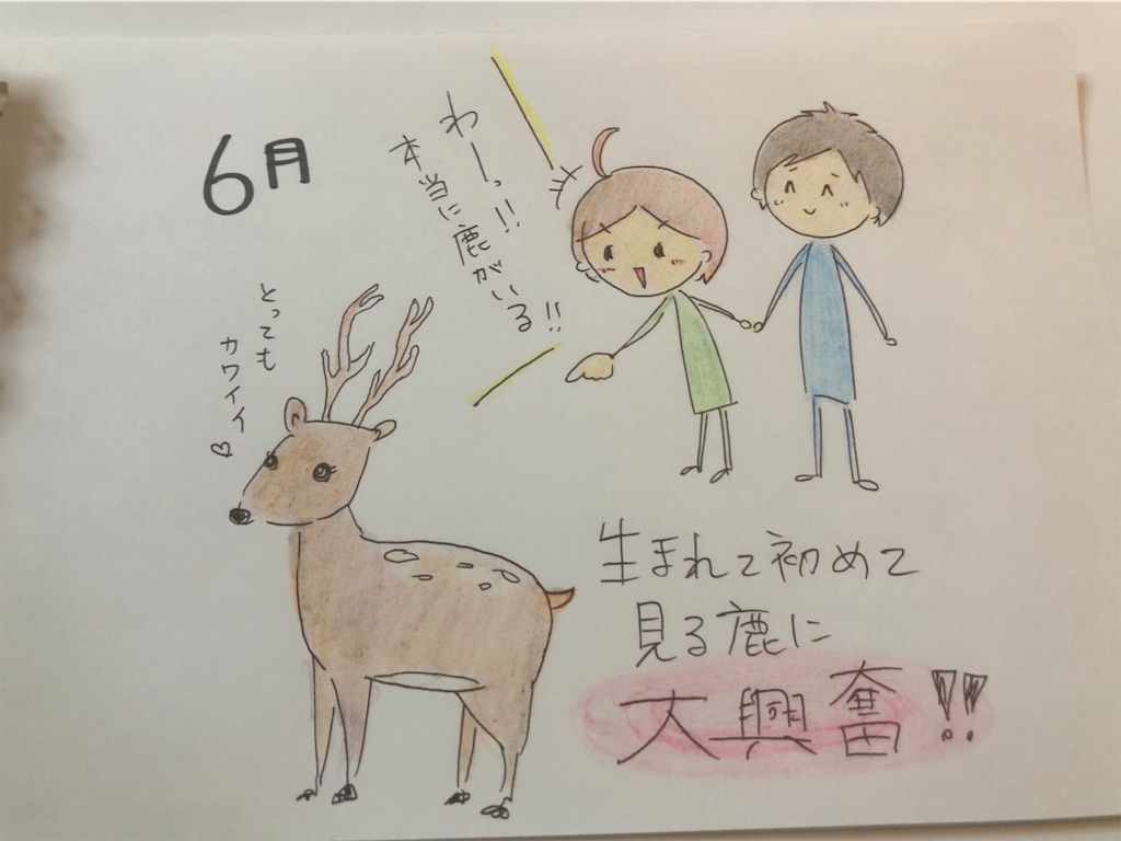 f:id:nishidarico:20181116211319j:image f:id:nishidarico:20181116211319j:image