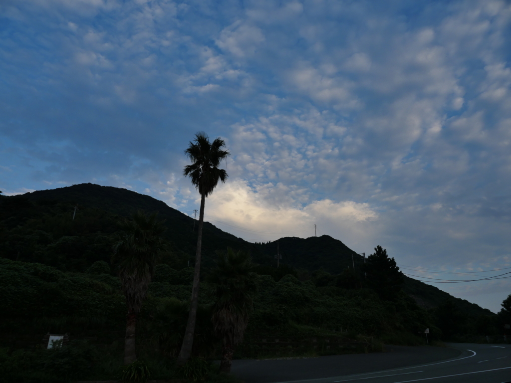 f:id:nishige0830:20170913082413j:plain