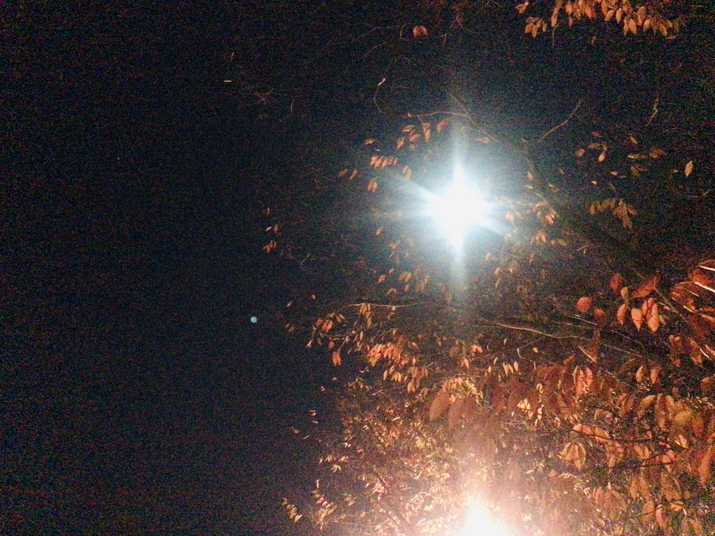 f:id:nishigucci2492:20181125215711j:plain f:id:nishigucci2492:20181125215711j:plain