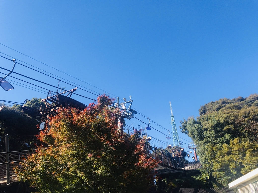 f:id:nishigucci2492:20181125220911j:plain f:id:nishigucci2492:20181125220911j:plain