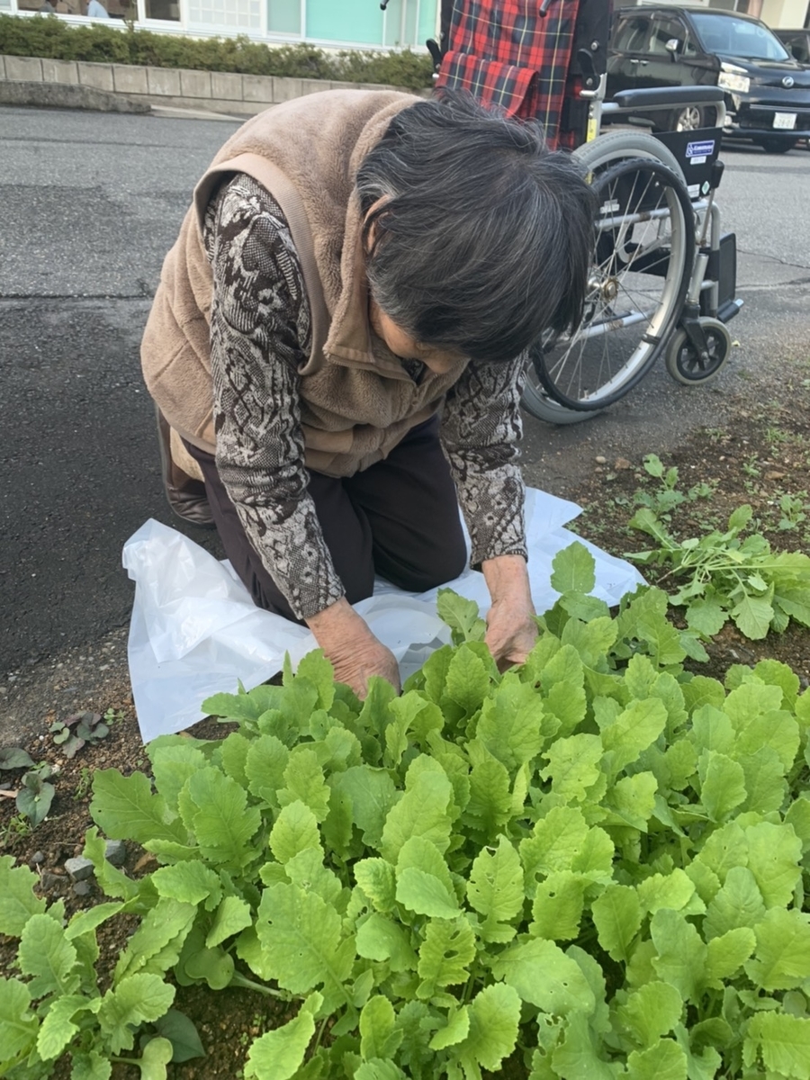f:id:nishikien:20191113171051j:plain