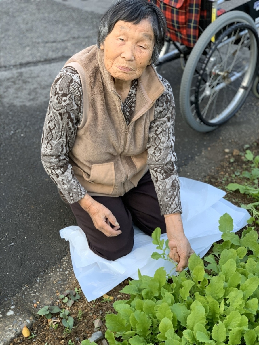 f:id:nishikien:20191113171106j:plain