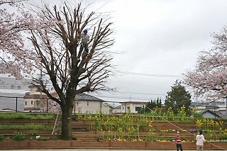 f:id:nishikikg:20170408200351j:plain f:id:nishikikg:20170408200351j:plain