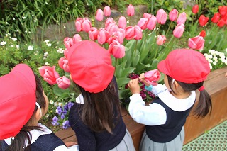 f:id:nishikikg:20170410200250j:plain