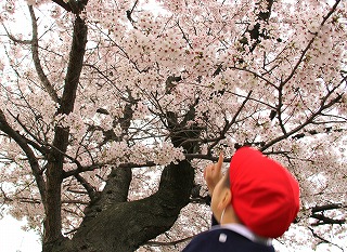 f:id:nishikikg:20170410200344j:plain