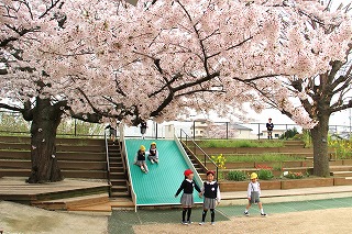 f:id:nishikikg:20170410200429j:plain