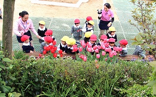 f:id:nishikikg:20170412200804j:plain