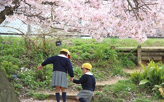 f:id:nishikikg:20170412201629j:plain