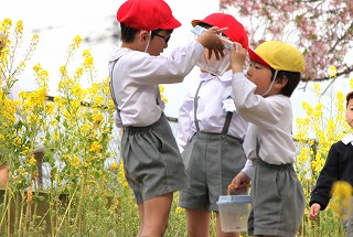 f:id:nishikikg:20170417214109j:plain