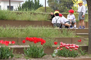 f:id:nishikikg:20170417214123j:plain