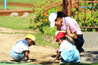 f:id:nishikikg:20180903201629j:plain f:id:nishikikg:20180903201629j:plain