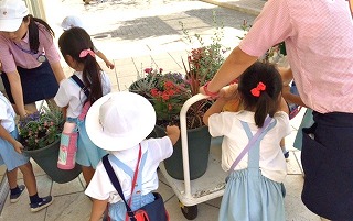 f:id:nishikikg:20180903202216j:plain f:id:nishikikg:20180903202216j:plain