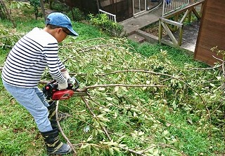 f:id:nishikikg:20180906195515j:plain