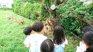 f:id:nishikikg:20180912194344j:plain