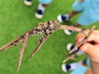 f:id:nishikikg:20200715203327j:plain f:id:nishikikg:20200715203327j:plain