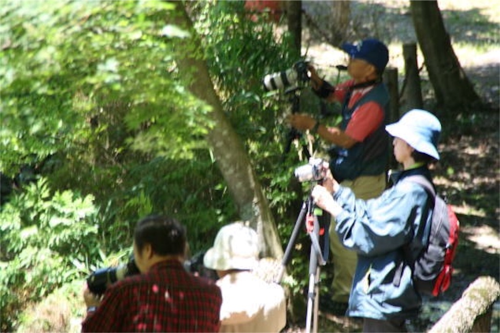f:id:nishimikawa:20151022070234j:image f:id:nishimikawa:20151022070234j:image