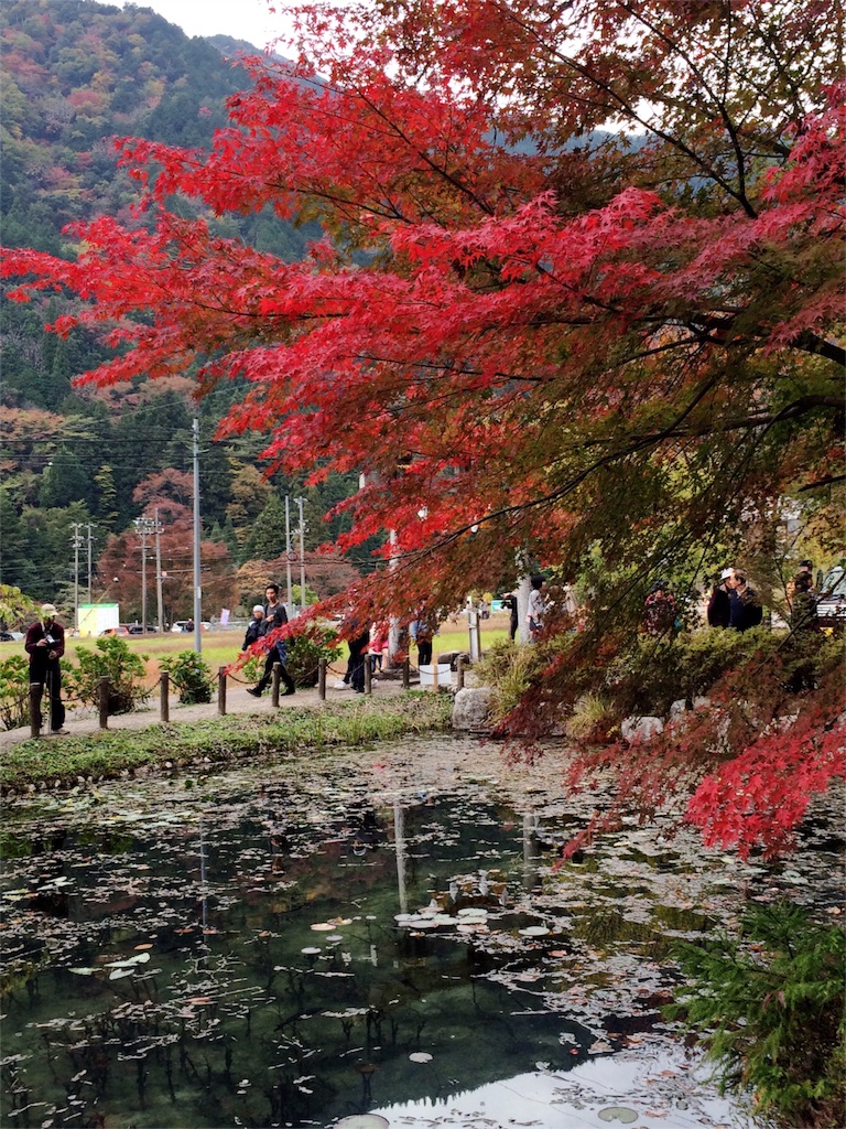 f:id:nishimikawa:20151108080628j:image f:id:nishimikawa:20151108080628j:image