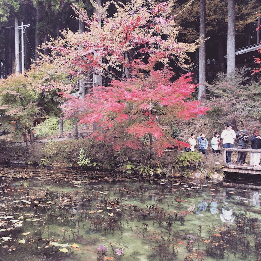 f:id:nishimikawa:20151110151230j:image f:id:nishimikawa:20151110151230j:image