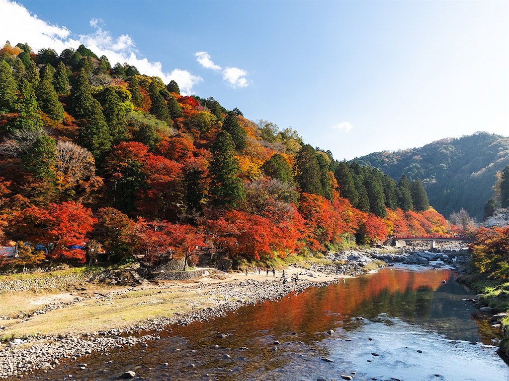f:id:nishimikawa:20250927072745j:image f:id:nishimikawa:20250927072745j:image
