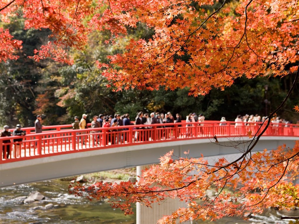 f:id:nishimikawa:20250927073607j:image f:id:nishimikawa:20250927073607j:image