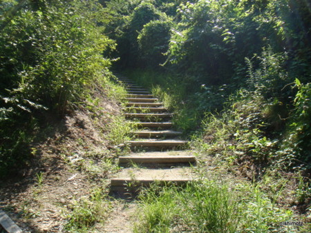 吉野水分神社