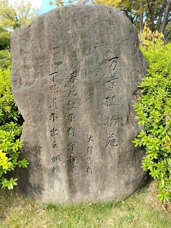 f:id:nishinomiya-minami:20211115122001j:plain