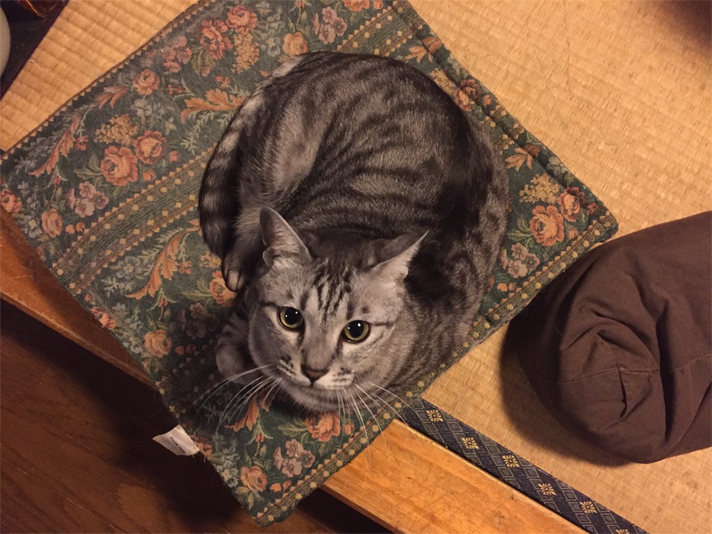 f:id:nishinoneko:20170906032055j:image