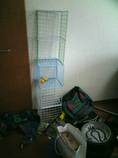 f:id:nishiohirokazu:20090227124153j:image