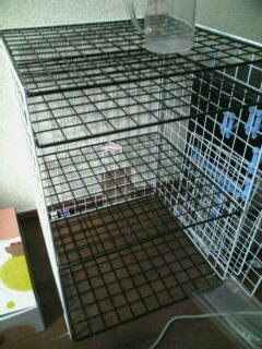 f:id:nishiohirokazu:20090227140027j:image