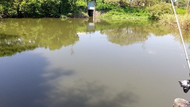 f:id:nishiokaninja:20220911214110j:image