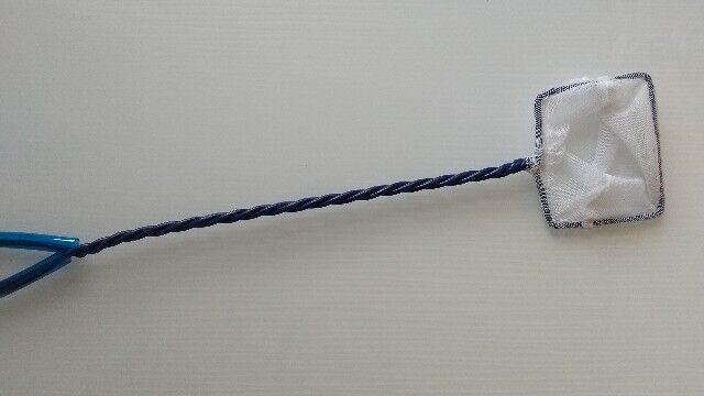 f:id:nishiokaninja:20230620140553j:image f:id:nishiokaninja:20230620140553j:image