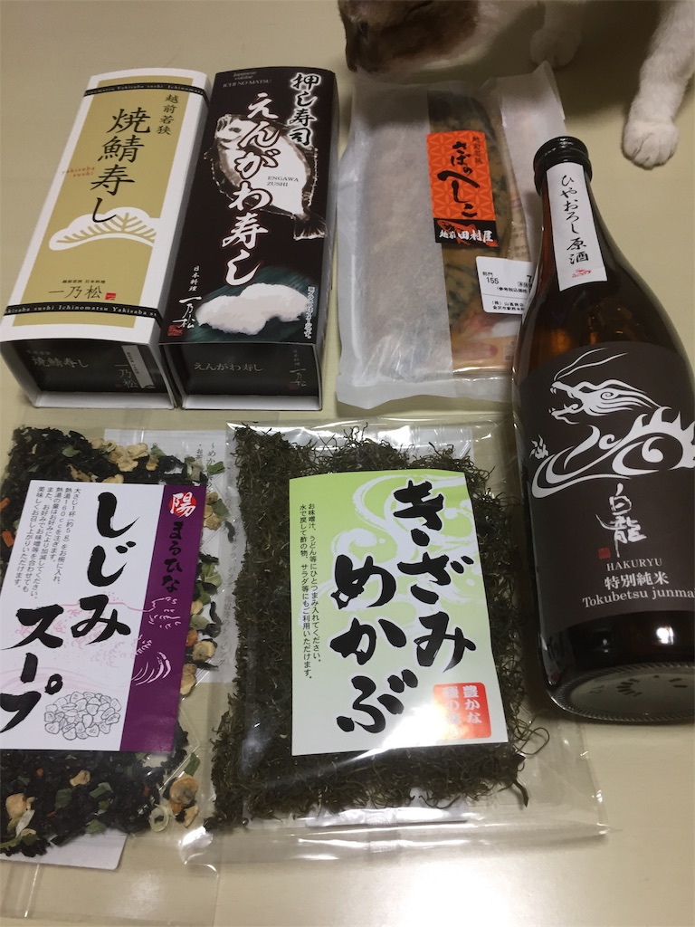 f:id:nishiokashizuko:20181211024711j:image