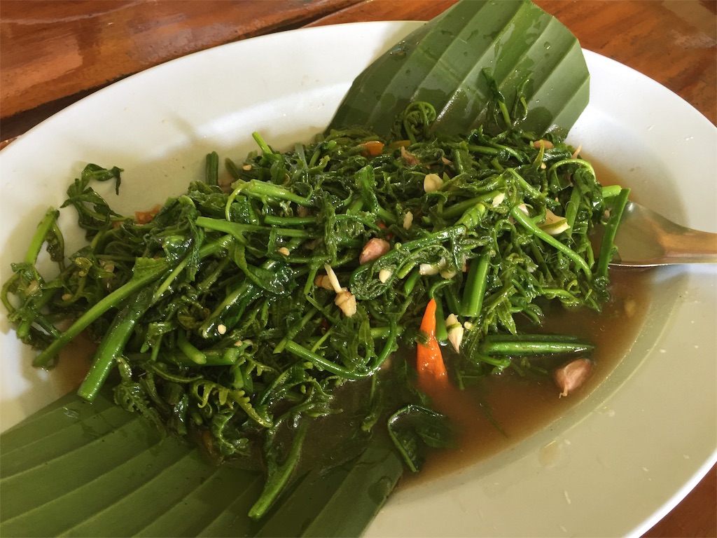 f:id:nishiokashizuko:20191224230214j:image
