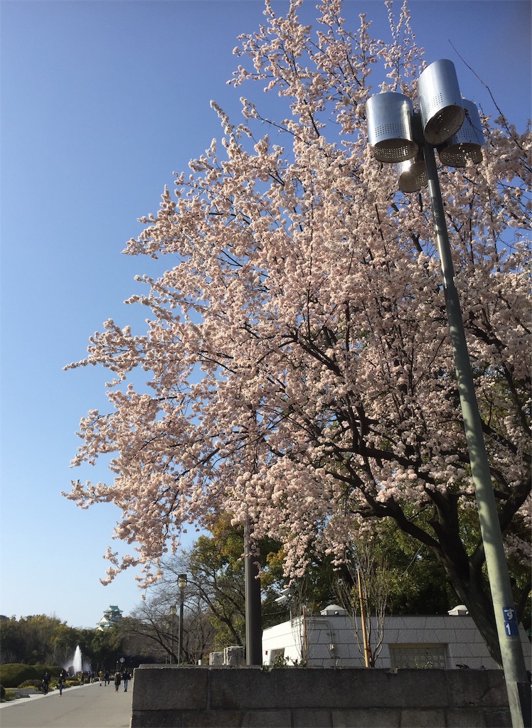 f:id:nishiokashizuko:20210310222253j:image f:id:nishiokashizuko:20210310222253j:image