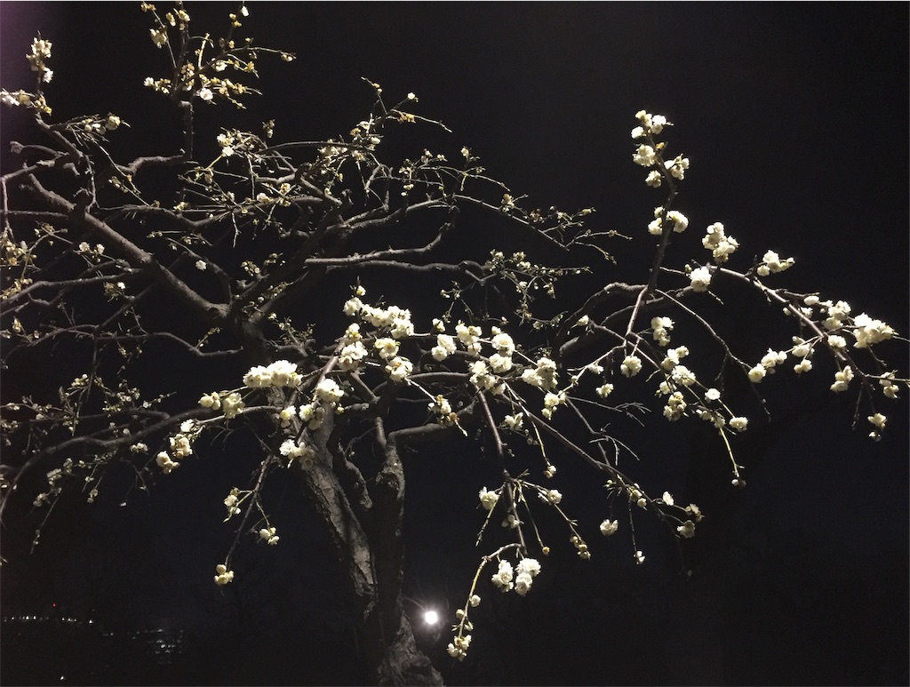 f:id:nishiokashizuko:20210310222318j:image f:id:nishiokashizuko:20210310222318j:image