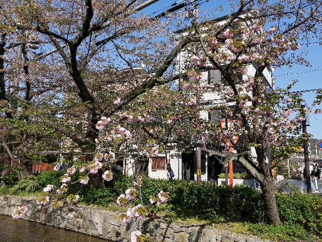 f:id:nishiokashizuko:20240414211933j:image