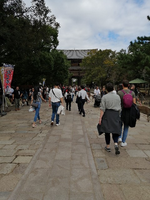 f:id:nishiokashizuko:20241023160948j:image