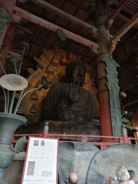 f:id:nishiokashizuko:20241023161033j:image