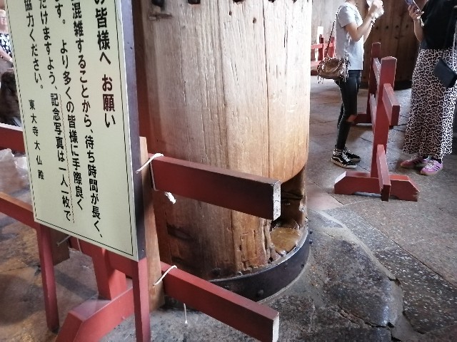f:id:nishiokashizuko:20241023161046j:image