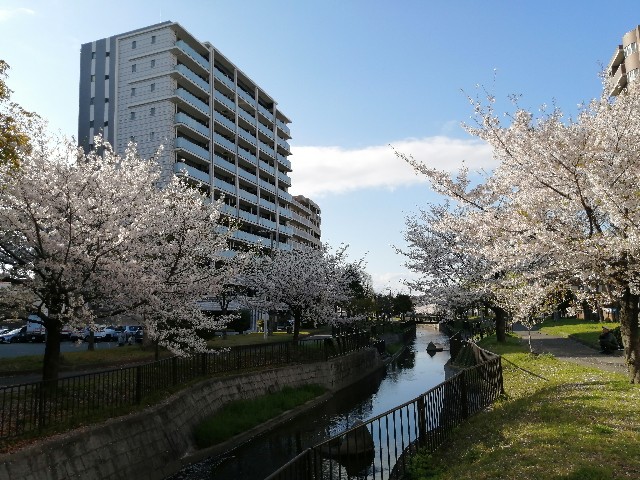 f:id:nishiokashizuko:20260405191148j:image