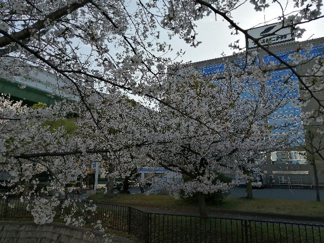 f:id:nishiokashizuko:20260405191202j:image