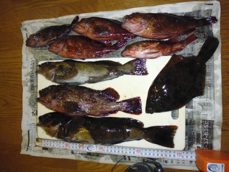 f:id:nishiosaka:20140211191543j:image