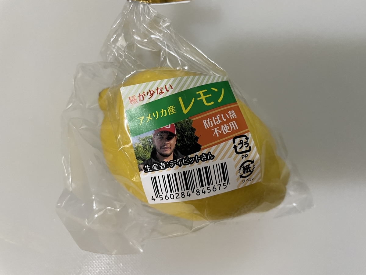 f:id:nishioshini:20210511010047j:plain