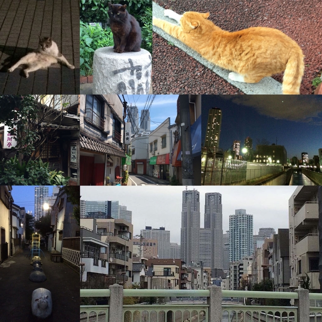 西新宿五丁目・西新宿四丁目、都庁とレトロな街並みの風景、神田川沿いの猫、品川亭など