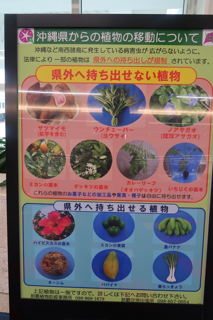 f:id:nishiuraexp:20190218232511j:plain f:id:nishiuraexp:20190218232511j:plain