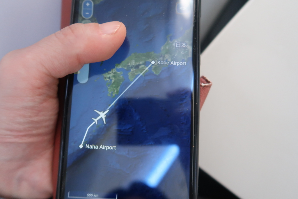 f:id:nishiuraexp:20190218233242j:plain f:id:nishiuraexp:20190218233242j:plain