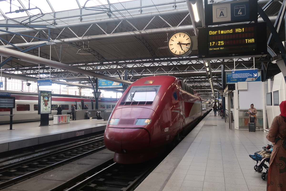 f:id:nishiuraexp:20190512202717j:plain f:id:nishiuraexp:20190512202717j:plain