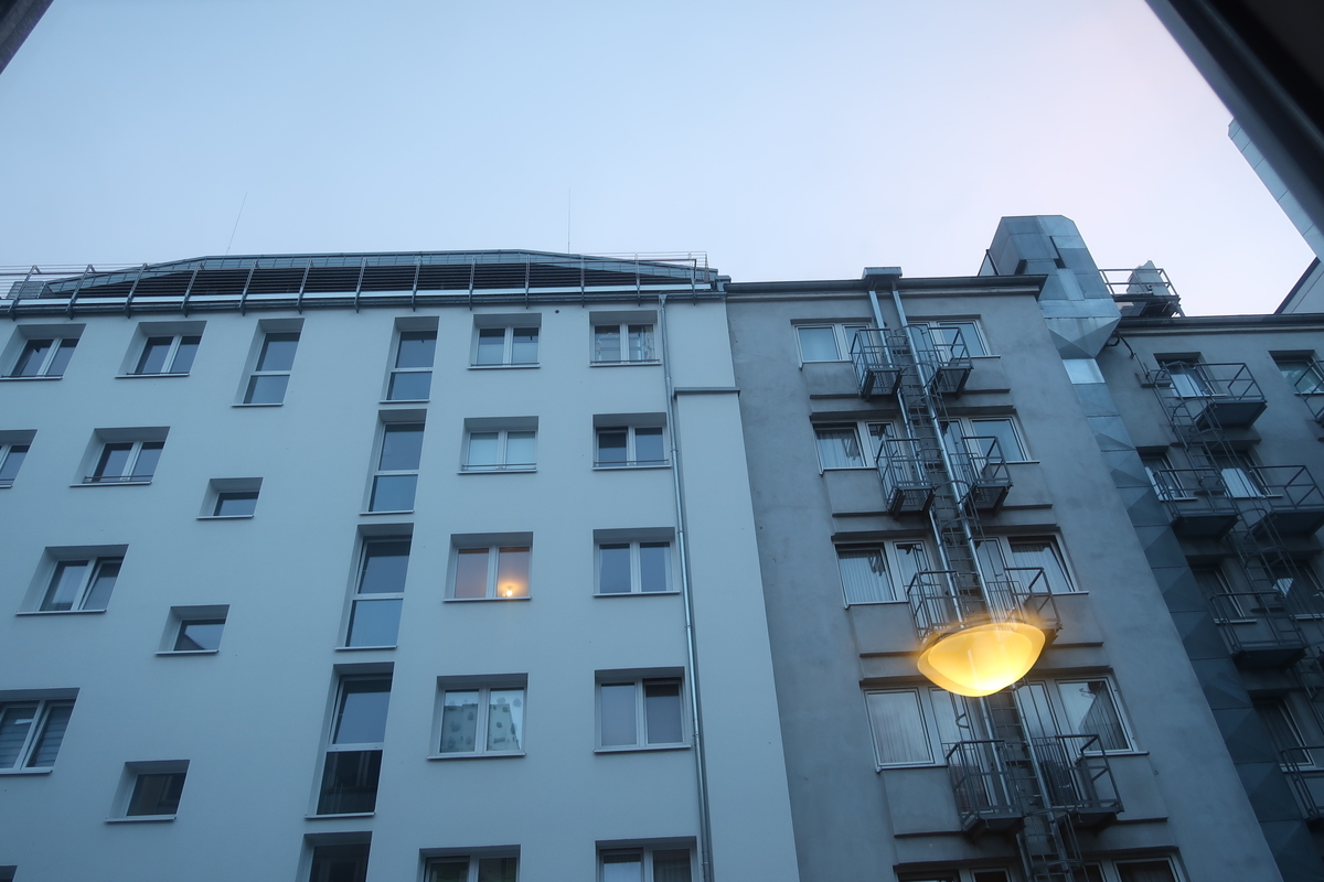 f:id:nishiuraexp:20190512203940j:plain f:id:nishiuraexp:20190512203940j:plain