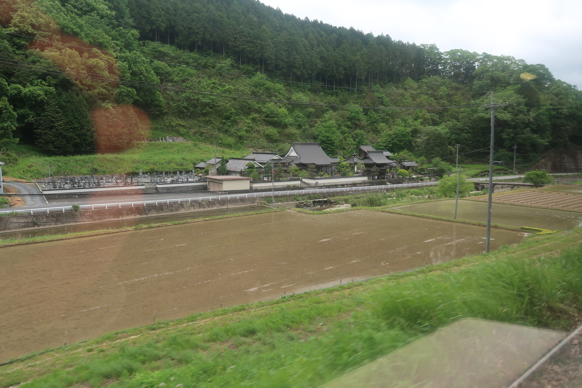f:id:nishiuraexp:20190520204113j:plain f:id:nishiuraexp:20190520204113j:plain