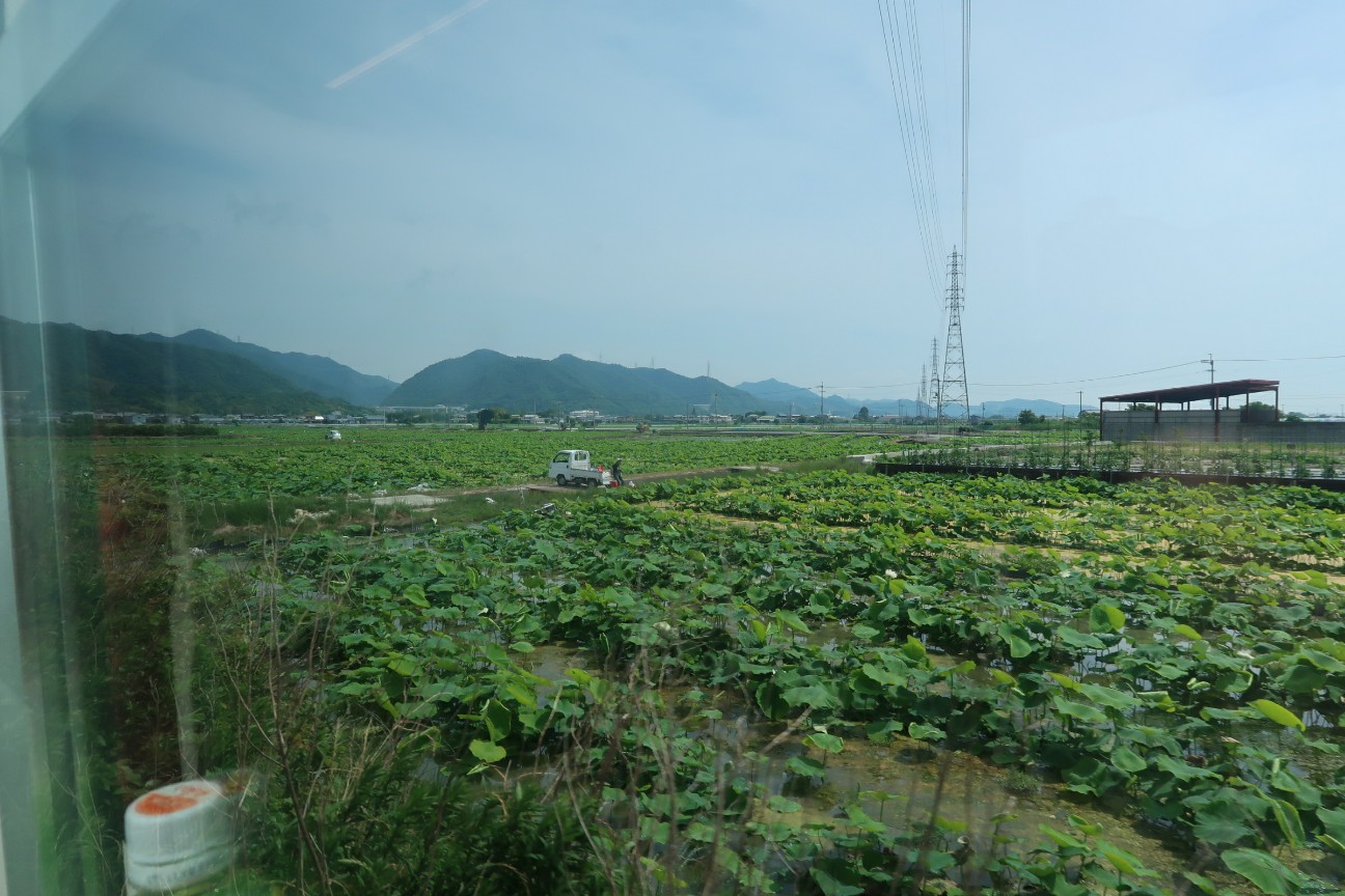 f:id:nishiuraexp:20190601134447j:image